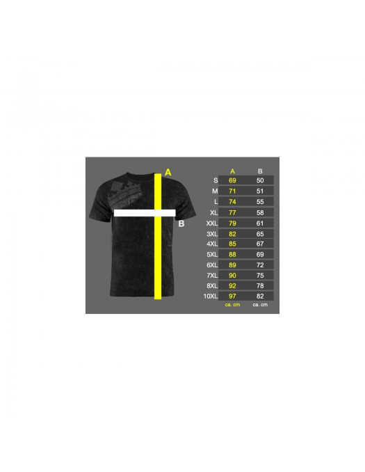 Struck Viking Tee by Nordic Worlds