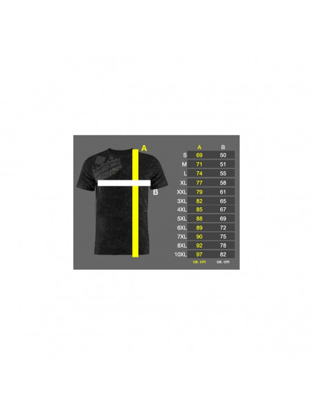Viking Conqueror  Tee by Nordic Worlds