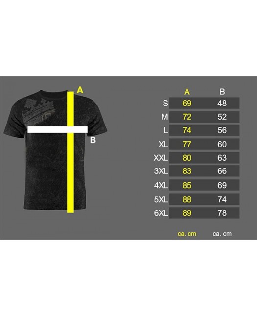 Warrior Nation T-Shirt Grey by Nordic...